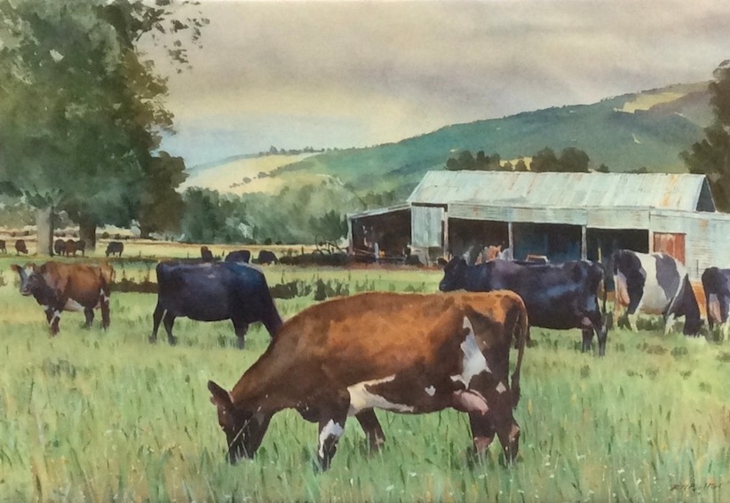 Richard Bolton | Cattle on Woodbury Road | McAtamney Gallery And Design Store | Geraldine NZ